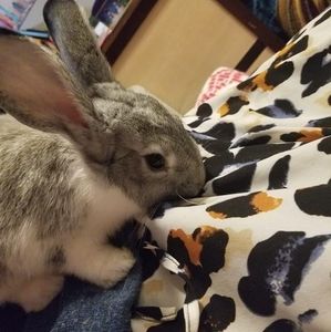 Meet your Posher, Elyse